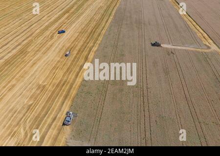 Ernte Weizen harvester Stockfoto