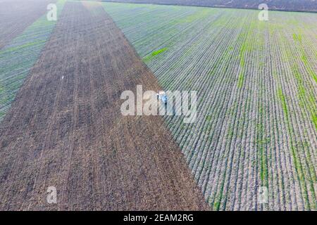 Draufsicht auf den Traktor, der das Feld pflügt. Bodenbearbeitung nach der Ernte Stockfoto