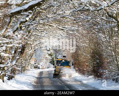 West Lothian, Schottland. Wetter: 10th Februar, 2021 Sturm Darcy: Ein Schneepflüge reinigt Schnee durch eine Allee von Bäumen in der Nähe von Stoneyburn, West Lothian, Schottland, Großbritannien. . Quelle: Ian Rutherford/Alamy Live News. Stockfoto