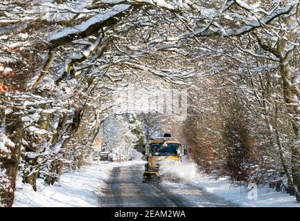 West Lothian, Schottland. Wetter: 10th Februar, 2021 Sturm Darcy: Ein Schneepflüge reinigt Schnee durch eine Allee von Bäumen in der Nähe von Stoneyburn, West Lothian, Schottland, Großbritannien. . Quelle: Ian Rutherford/Alamy Live News. Stockfoto