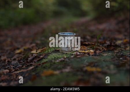 Ökologische Katastrophe. Verlassene Müll im Wald. Stockfoto