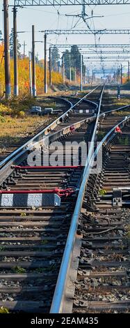 Die Bahn führt durch einen schönen Herbstwald mit bunten Bäumen. Stockfoto