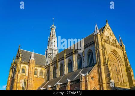 Saint Bavo Kirche in Haarlem, Niederlande Stockfoto