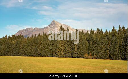 Berg Krivan Gipfel Slowakisches Symbol breites Panorama mit Herbstwiese im Vordergrund, Typische Herbstlandschaft der Region Liptov, Slowakei Stockfoto