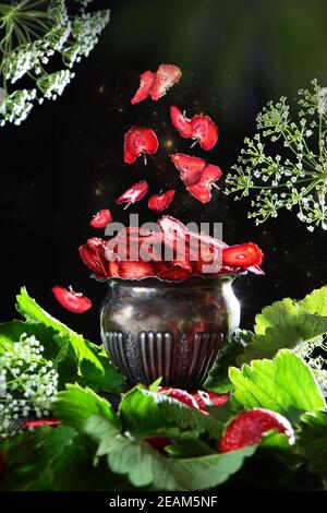 Getrocknete Erdbeerfrüchte in einer alten Metallvase. Naturprodukt. Für Vegetarier. Foto auf schwarzem Hintergrund. Speicherplatz kopieren. Fallende Stücke von Erdbeere.Vertikales Foto. Stockfoto
