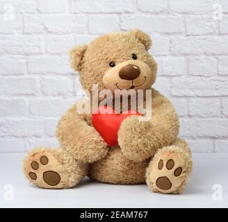 Braun Teddybär sitzt auf einem weißen Hintergrund, Kinderspielzeug Stockfoto