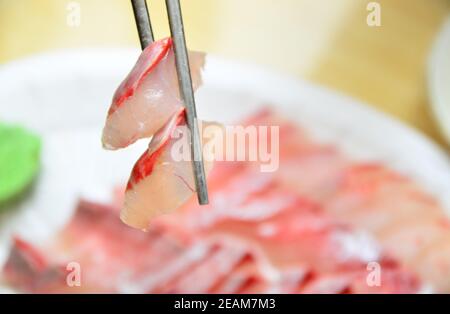 Leckere Speisen - Sushi, ein Stück frischen rohen Fischs - Koreaner genießen Sushi mit Familie oder Freunden Zeit zu Zeit Stockfoto