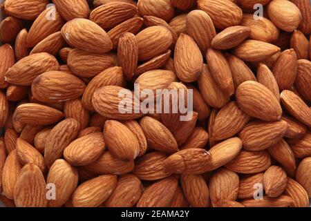 Mandeln, ohne Schalen, in großen Mengen. Naturprodukt. Der Blick von oben. Speicherplatz kopieren. Stockfoto