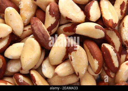 Paranüsse, ohne Schalen, in großen Mengen. Naturprodukt. Der Blick von oben. Speicherplatz kopieren. Stockfoto