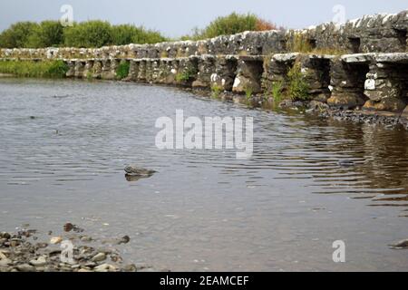 Clapper Bridge über Carrownisky River Ireland County Mayo Killeen Bunlahinch Stockfoto