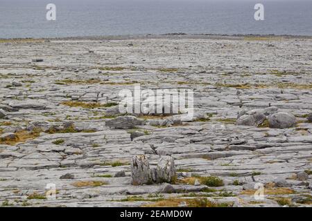 Wild Atlantic Way Fanore Beg Stockfoto