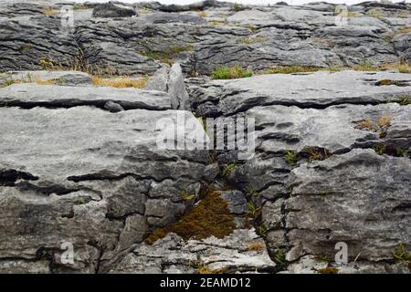 Wild Atlantic Way Fanore Beg Stockfoto