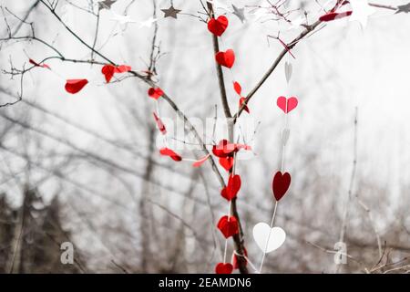 Defokussieren Sie Papierherzen. St. Valentines Dekorationen im Park. Rote und weiße handgemachte Herzen. Bäume im Park sind mit weißen und roten verziert Stockfoto