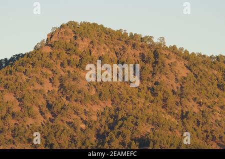 Alsandara Mountain im Integral Natural Reserve von Inagua. Stockfoto