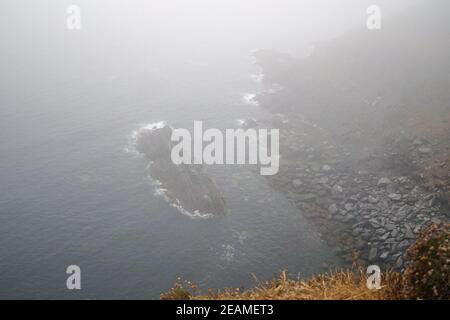 Cliffs  steep coast on the Old Head of Kinsale Stockfoto