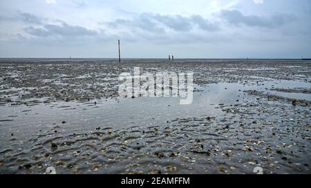Unterhaltung bei Ebbe im Schlamm auf dem Wattenmeer Meer Stockfoto
