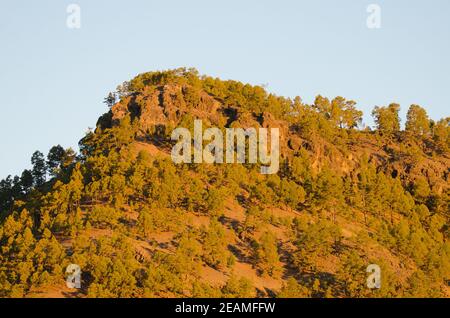 Alsandara Mountain im Integral Natural Reserve von Inagua. Stockfoto