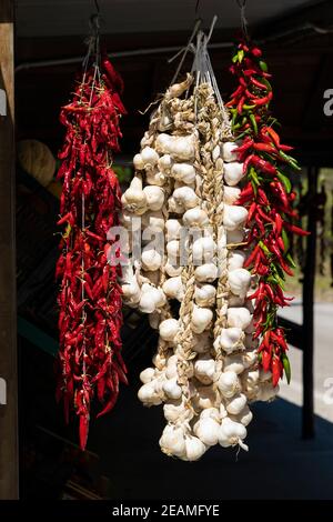 Verschiedene Arten von hängenden Chilischoten und Knoblauch, Apulien, Italien Stockfoto