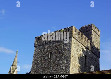 Kloster Selskar Irland Stockfoto