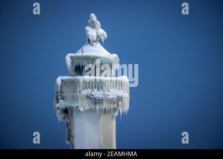 Sassnitz, Deutschland. Februar 2021, 10th. Die eisige Spitze des Leuchtturms am Pier des Hafeneingangs. Eisige Witterung und Schneefall behindern den Verkehr in Norddeutschland. Quelle: Jens Büttner/dpa-Zentralbild/dpa/Alamy Live News Stockfoto