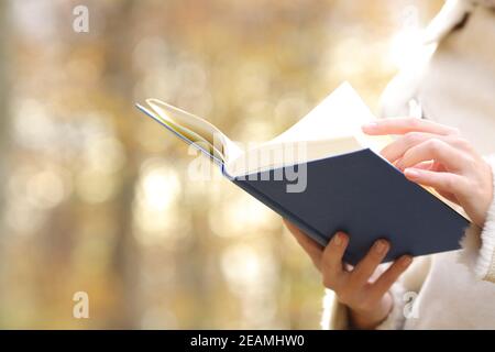 Frau Hände lesen ein Buch im Herbst in einem Park Stockfoto