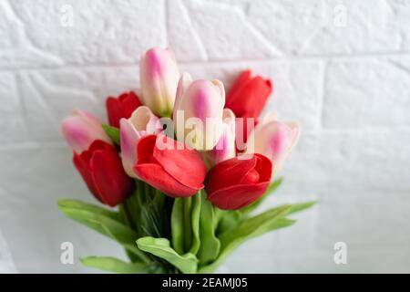 Stillleben mit bunten Tulpen Stockfoto