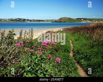 Der Weg in Richtung Gun Point blickt über die Mündung des Flusses Camel nach Brea Hill und Daymer Bay, Cornwall. Stockfoto