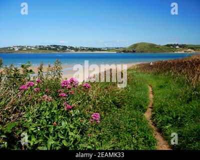 Der Weg in Richtung Gun Point blickt über die Mündung des Flusses Camel nach Brea Hill und Daymer Bay, Cornwall. Stockfoto