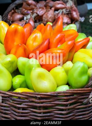 Bulgarische Pfeffer ist Grün und Rot in den Warenkorb Stockfoto