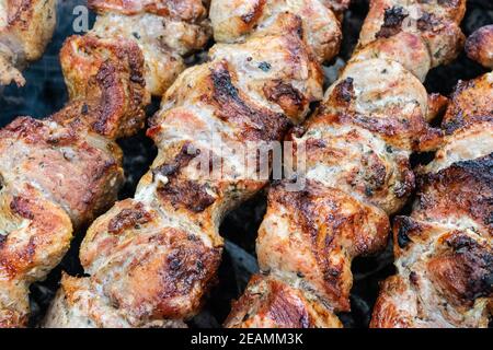 Braten Schwein am Spieß über einen brazier. Drehen Fleisch über Kohlen. Appetitlich Shish Kebab. Stockfoto