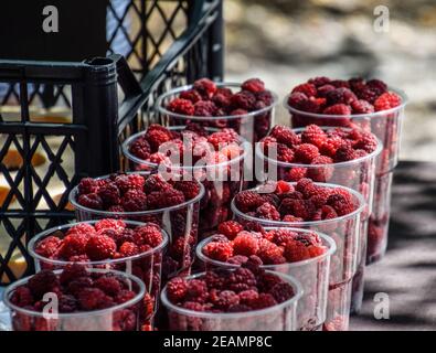 Gläser mit Himbeeren auf der Theke. Verkauf von Himbeere Stockfoto