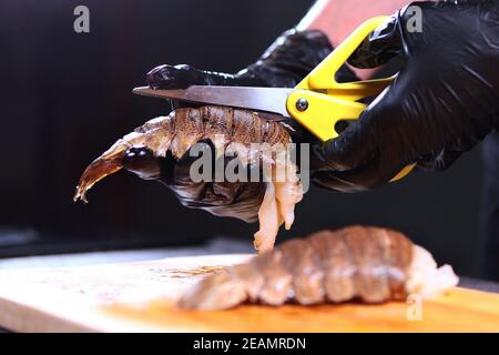 Der Koch in schwarzen Handschuhen mit einer Schere schneidet die Hummerschwänze hoch. Nicht erkennbares Foto. Nur Hand. Schwarzer Hintergrund. Speicherplatz kopieren. Nahaufnahme. Stockfoto