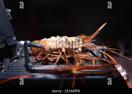 Riesige Süßwassergarnelen sind auf dem Grill. Gegrillte Garnelen. Foto auf schwarzem Hintergrund. Seitenansicht. Stockfoto