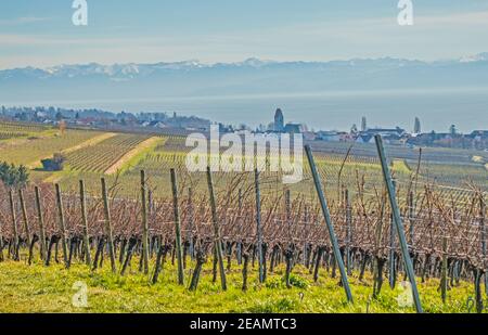 Alpenpanorama Hagnau am Bodensee Stockfoto