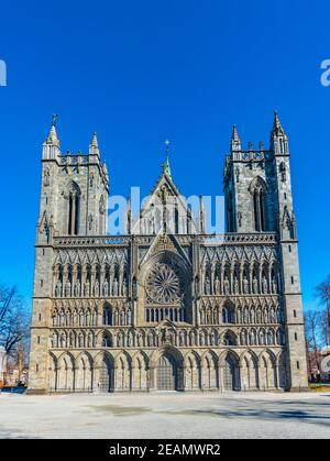 Blick auf die Hauptfassade der Kathedrale von Nidaros in trondheim, Norwegen Stockfoto