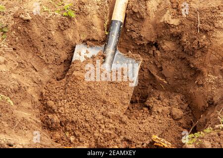 Graben ein Loch durch Schaufel in einem Lehmboden für Einen jungen Baum Pflanzen Stockfoto