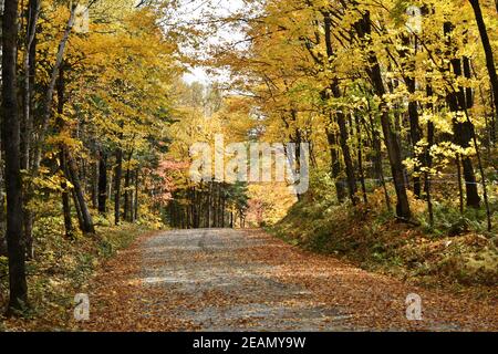 La Route de la Station en automne, Sainte-Apolline, Québec Stockfoto