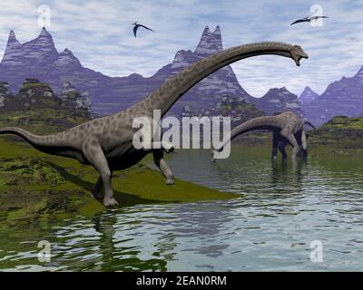 Diplodocus Dinosauriers - 3D Render Stockfoto