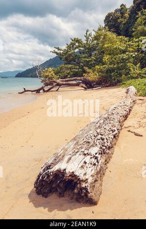 Schöner traum Paradise Beach, Madagaskar Stockfoto