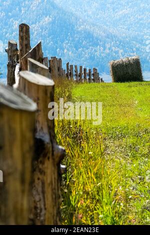 Holzzaun auf der Ranch. Ein Holzzaun für Rinder. Stockfoto