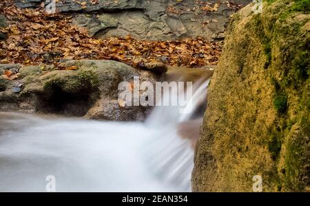 Berg kleiner Fluss im Wald mit Stromschnellen und Wasserfällen. Ein Waldbach. Stockfoto