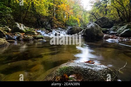 Berg kleiner Fluss im Wald mit Stromschnellen und Wasserfällen. Ein Waldbach. Stockfoto