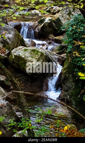 Berg kleiner Fluss im Wald mit Stromschnellen und Wasserfällen. Ein Waldbach. Stockfoto