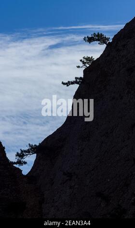 Die Berge und die Wälder Krim. Die Nadelbäume und die Laubbäume auf den Hügeln der Berge und der Felsen Stockfoto