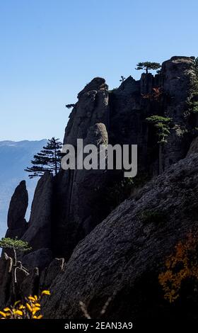 Die Berge und die Wälder Krim. Die Nadelbäume und die Laubbäume auf den Hügeln der Berge und der Felsen Stockfoto