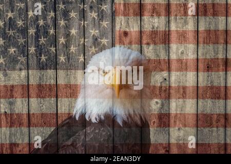 Vintage verblasste amerikanische Flagge und Weißkopfseeadler auf dem gemalt Seite einer verwitterten Holzscheune Stockfoto