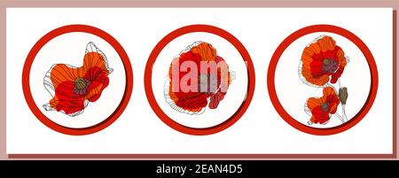 Mai 9. Grußkarte für den Tag des Sieges. Übersetzung aus dem Ukrainischen: Nie wieder. Symbolischer roter Mohn auf weißem Hintergrund. Vektorgrafik. Vit Stock Vektor