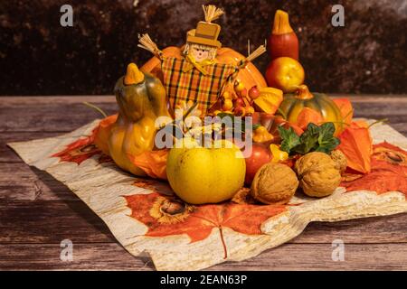 Herbstdekoration Stillleben mit bunten Kürbissen und Walnüssen Stockfoto