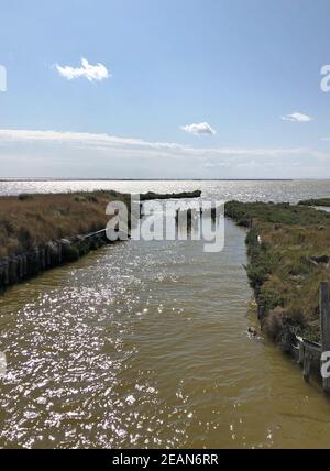 Das Valli di Comacchio, Fischbecken von Comacchio, Comacchio, Italien Stockfoto