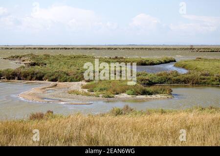 Das Valli di Comacchio, Fischbecken von Comacchio, Comacchio, Italien Stockfoto